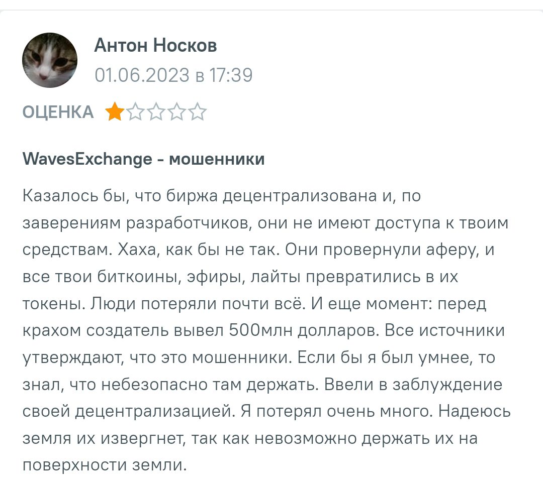 Отзывы о Waves Exchange