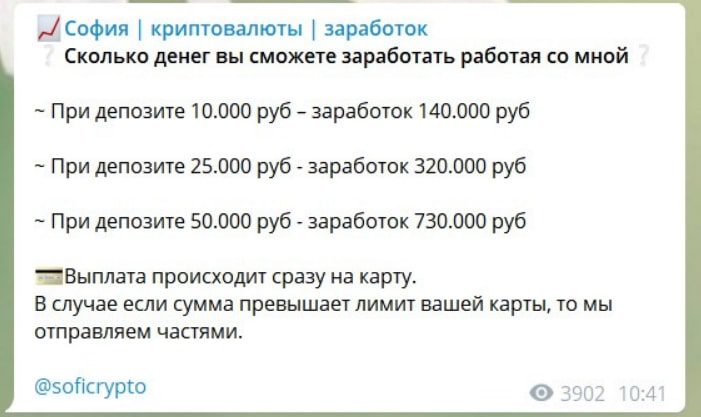 София Горлова заработок