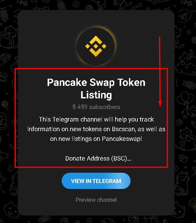 Pancake Swap Token