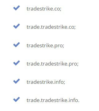 Домены Trade Strike