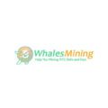 Whales mining