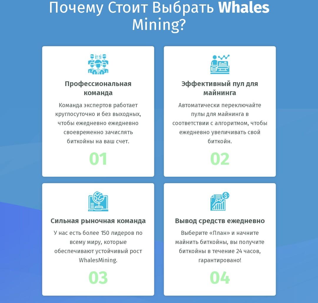 Whales mining сайт