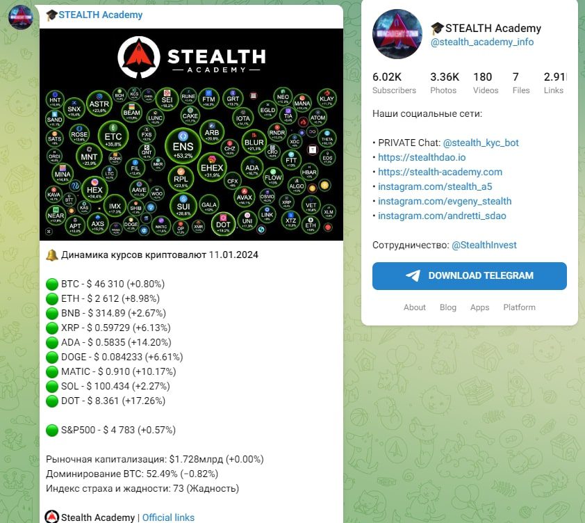 Stealth Academy телеграмм