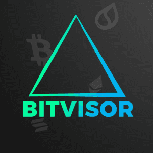 Bitvisor