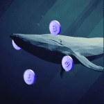 Whale Friend