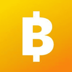 Bcoin2048