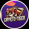 Crypto Tiger Тагир Каримов